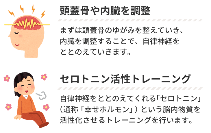 頭蓋骨や内臓を調整・セロトニン活性トレーニング